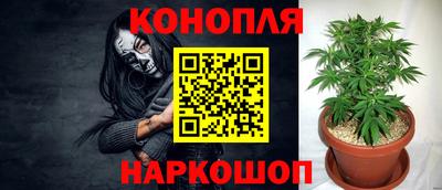PSILOCYBIN Донской