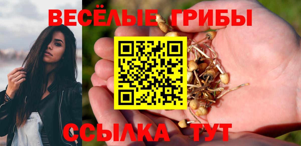 Нарткала  Галлюциногенные грибы прущие грибы  Вход с VPN 